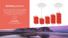 Investor Presentation