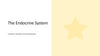 The Endocrine System
