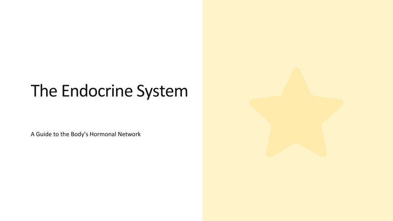 The Endocrine System