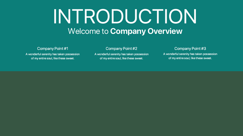 Company Overview - PowerPoint Template