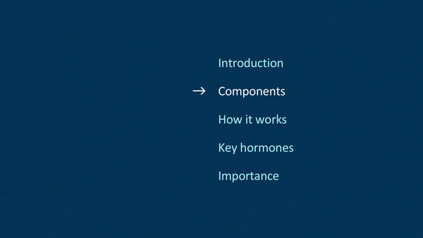 The Endocrine System