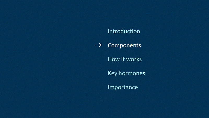 The Endocrine System