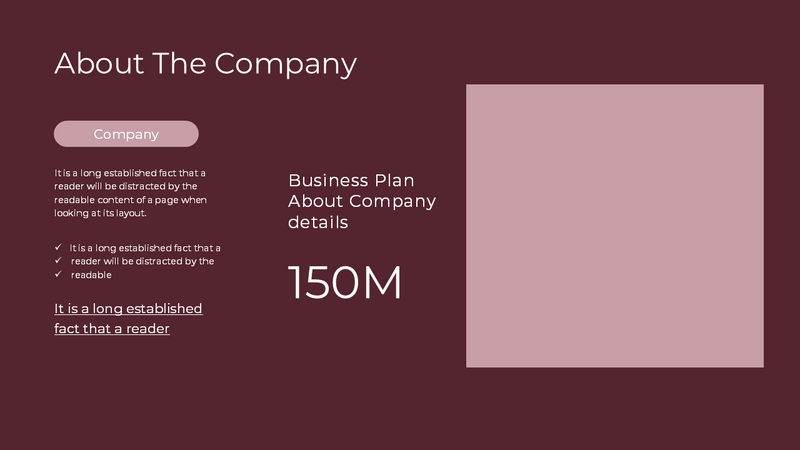 Business Plan Presentation