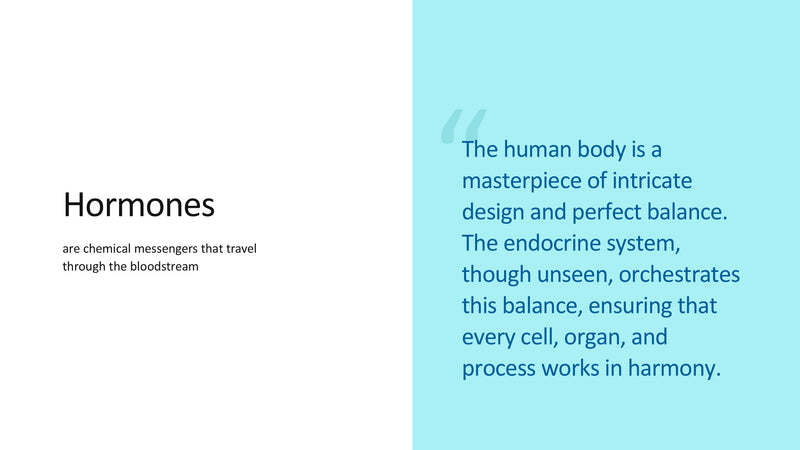 The Endocrine System