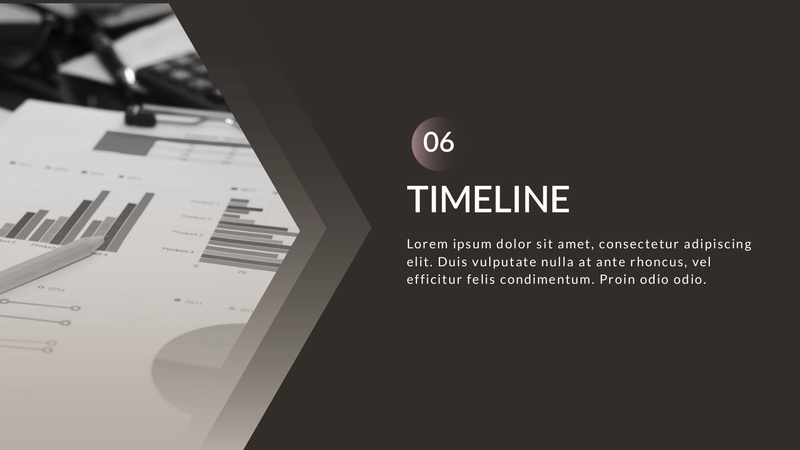 Minimal Professional Business Presentation