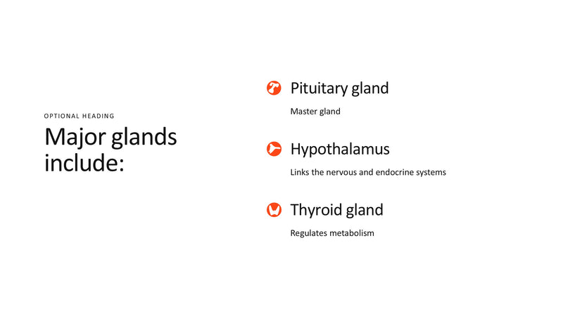 The Endocrine System
