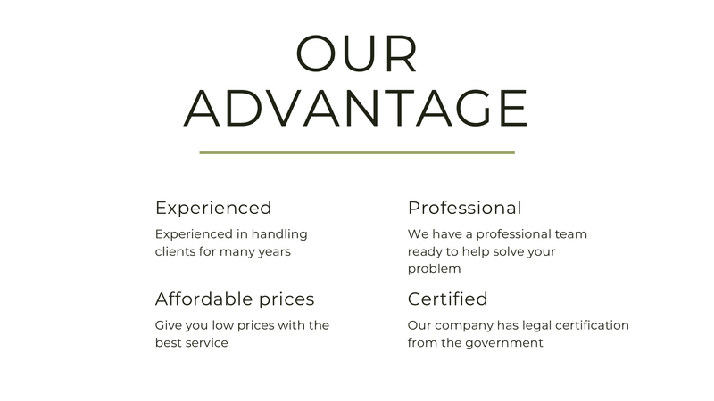 Simple Professional Business Presentation
