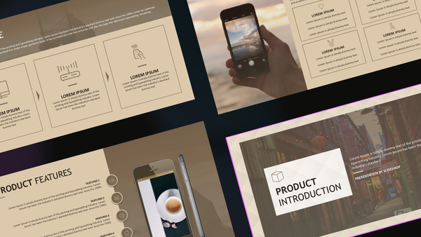 Product Introduction